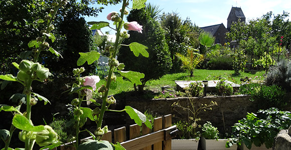 Jardin gites de la palmeraie manche normandie