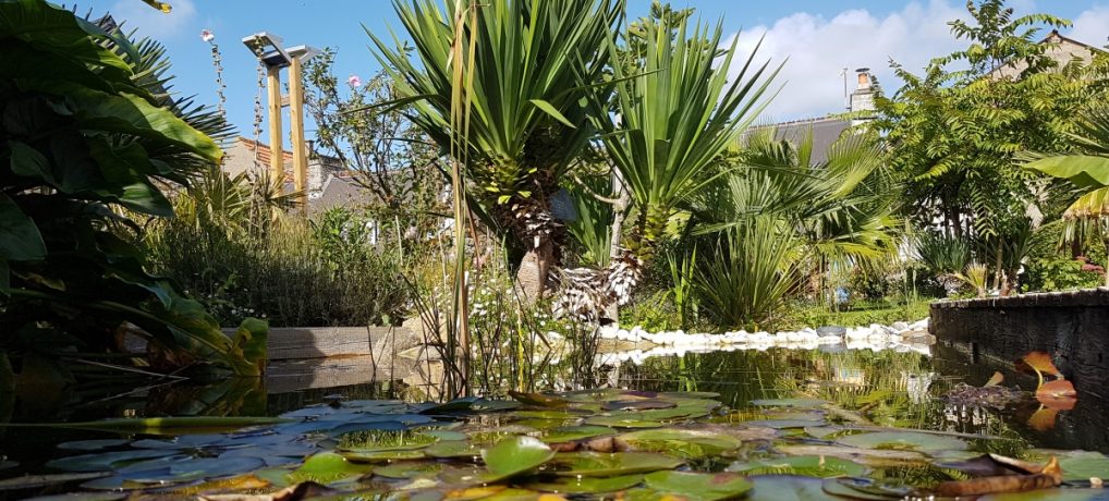 Bienvenue à « La Palmeraie » !