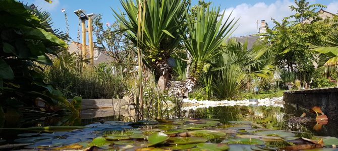 Bienvenue à « La Palmeraie » !