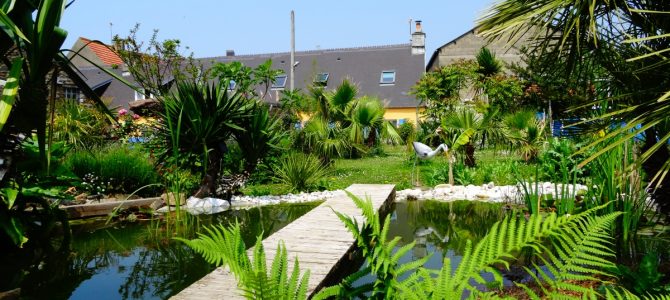 L’Oasis L’Oasis